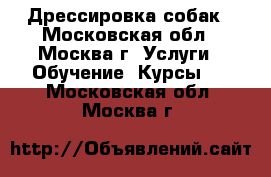 Дрессировка собак - Московская обл., Москва г. Услуги » Обучение. Курсы   . Московская обл.,Москва г.